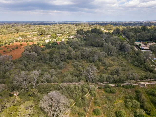 Spacious plot of land for sale in tranquil Algaida, central Mallorca — photo 5