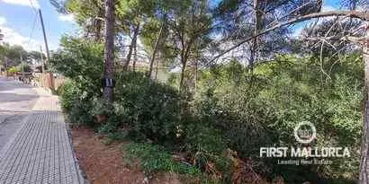 Real estate picture 0 Ref. No. 70218 — photo 4