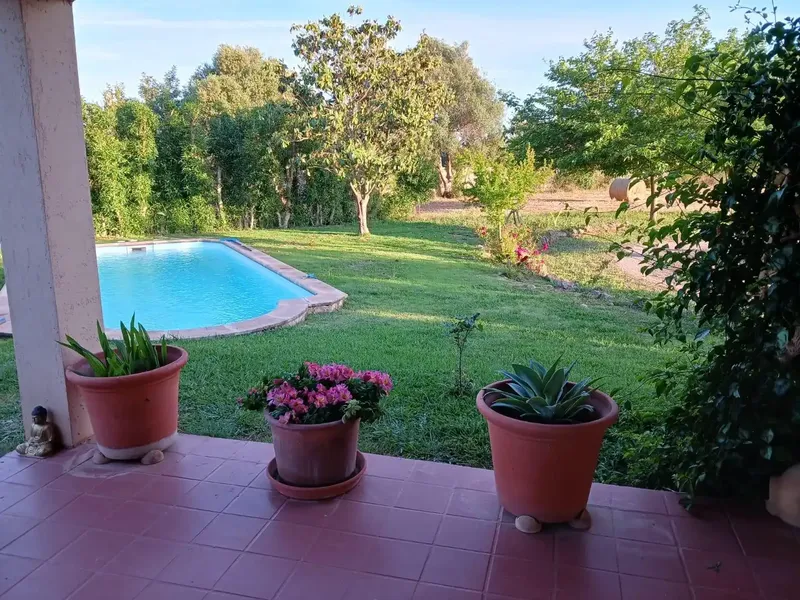 Exclusive rustic finca with views of the Serra de Tramuntana in Lloseta — photo 9