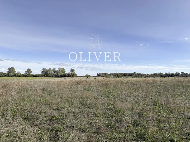 Large plot with views in Sencelles — photo 5