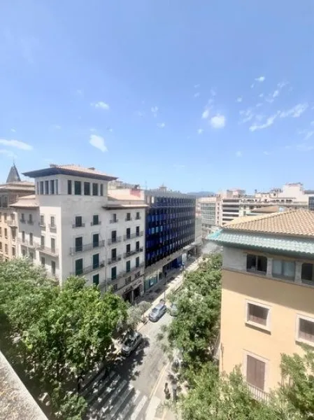 Palma Old Town Rental — photo 1