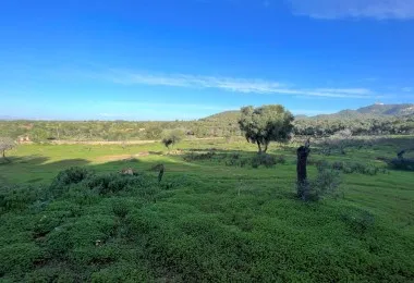 Terreno en Felanitx — photo 5