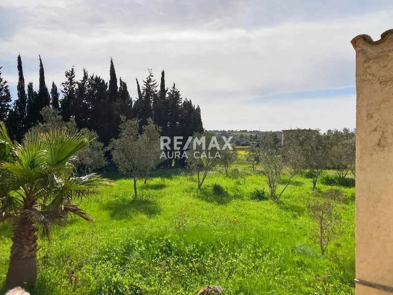 Detached Villa — photo 11