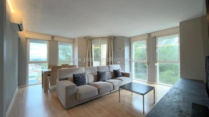 Apartment in Calvia, Paguera area — photo 1