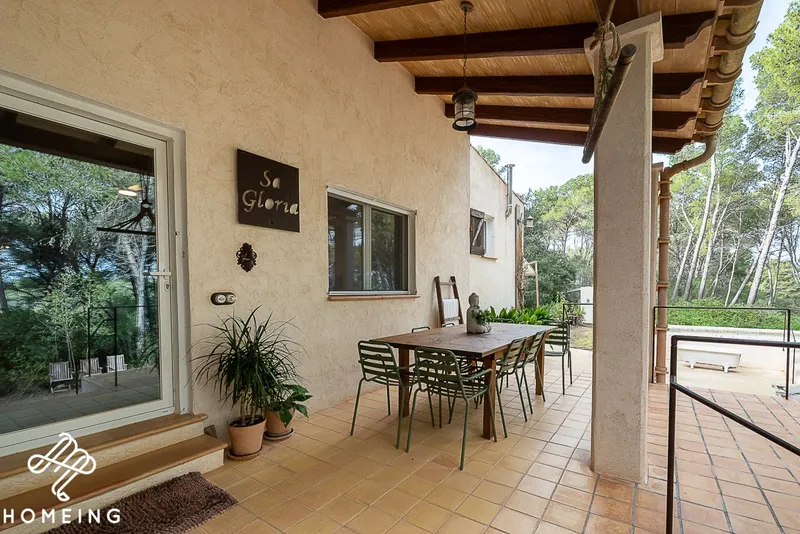 Unique rustic finca in a pine forest. Excellent state of preservation. — photo 2