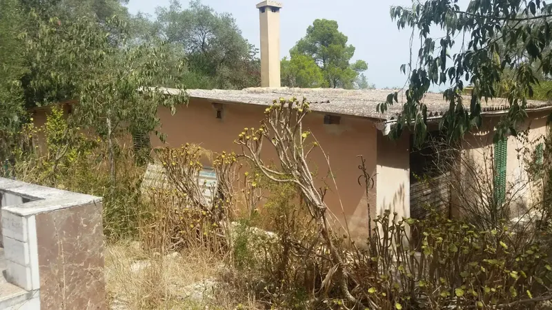 For sale: finca with legalized house, water and electricity — photo 10