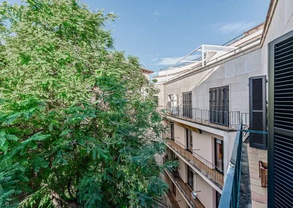 Flat / apartment in Sant Nicolau, Palma de Mallorca — photo 2