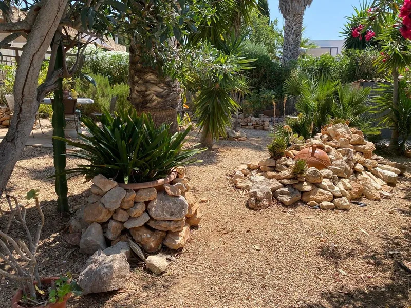 Cozy Townhouse with big garden in Sa Ràpita — photo 12