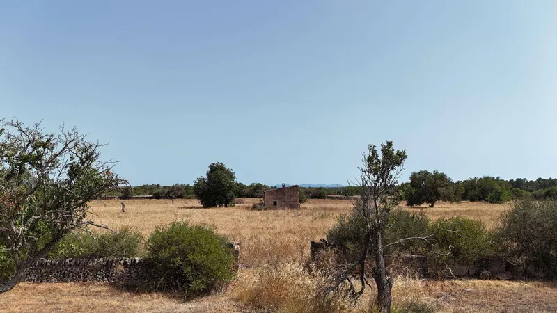 Rustic Estate with Project — photo 5