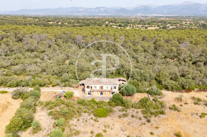 Exceptional Rustic Estate with Endless Possibilities for Sale in Sineu — photo 5