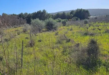Plot in Santa Maria — photo 7