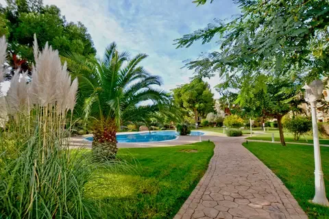 Apartment in Puig de Ros, Mallorca — photo 6