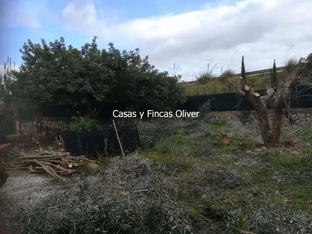 Finca/Country House for sale in Inca, Mallorca — photo 10