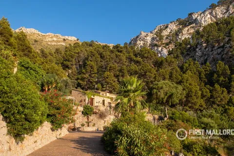 Villa in Estellencs, Mallorca — photo 7