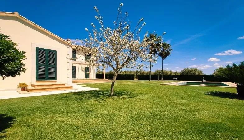 Spacious Villa In the Breathtaking Countryside of Marratxí, Charming Property With Fruit Trees For Sale in Marratxi — photo 4