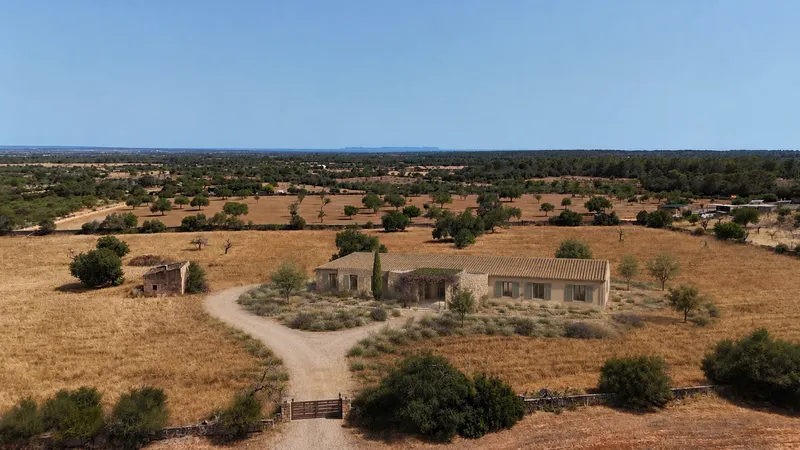 Rustic Estate with Project — photo 4