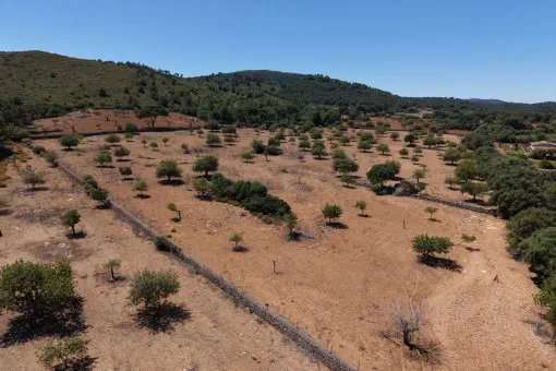 Cala Mandia, Beautiful Plot with Stunning Panoramic Views and Project near Cala Mandia — photo 6