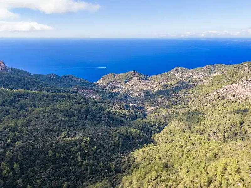 The impressive finca, for sale in Estellencs, occupies a privileged and elevated position within the Serra de Tramuntana. It occupies a huge — photo 12
