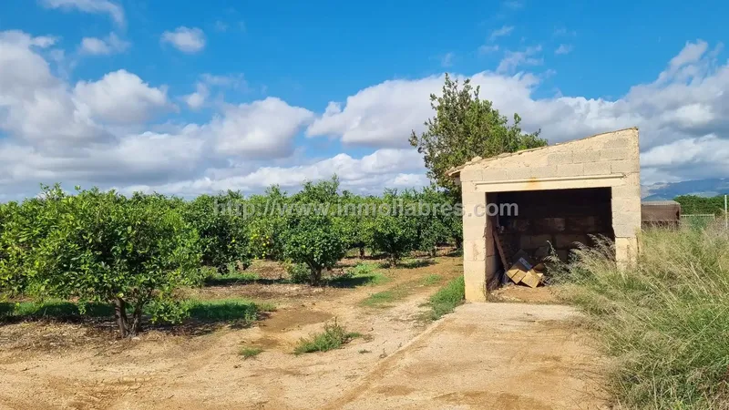 Discover this charming rustic retreat in Muro, in the heart of the Balearics — photo 11