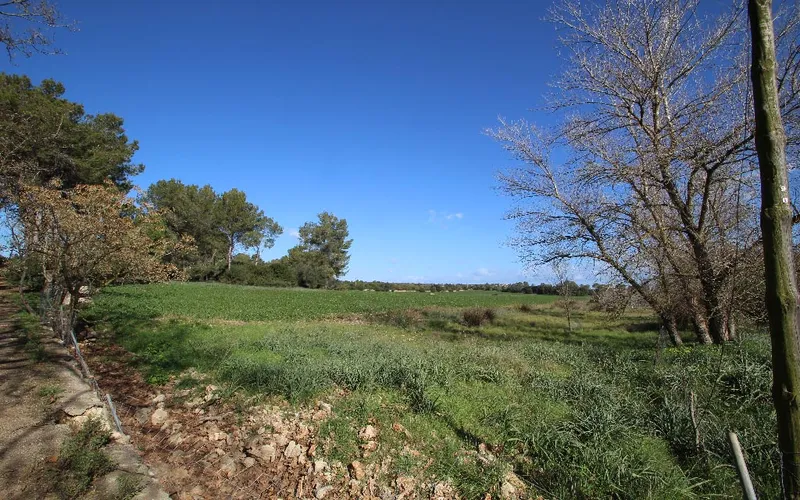 Country land with urban planning license to build house with pool, Maria de la Salut — photo 4