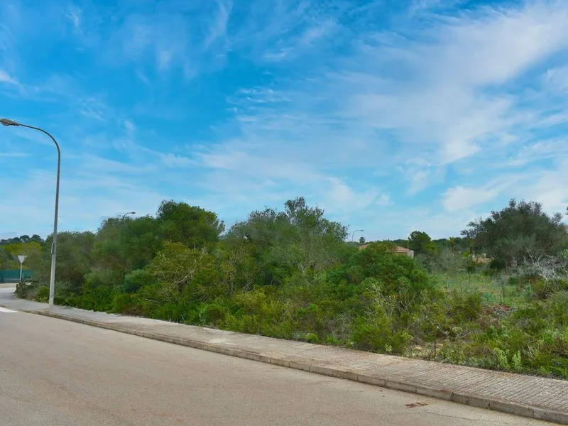 Land in Son Ferriol, Mallorca — photo 4