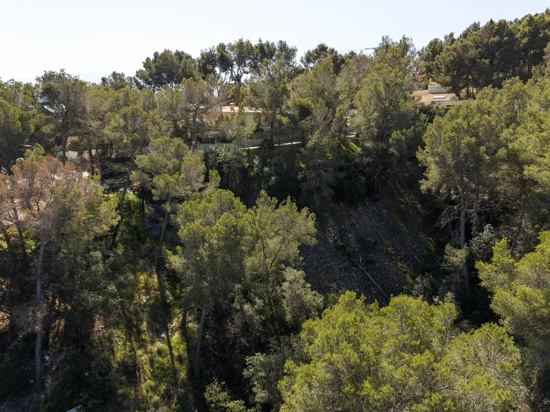 Property cmpbetudi0046uh7a3ey55kyg — photo 9