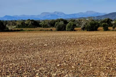 Building Plot in Manacor — photo 1