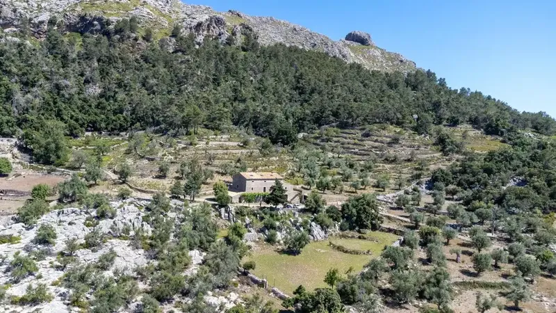 Charming rustic finca for sale in an idyllic setting between Pollensa and Lluc — photo 9