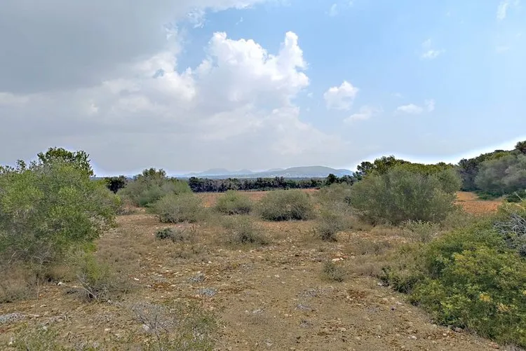 Santanyi, very large finca property G02968 — photo 2