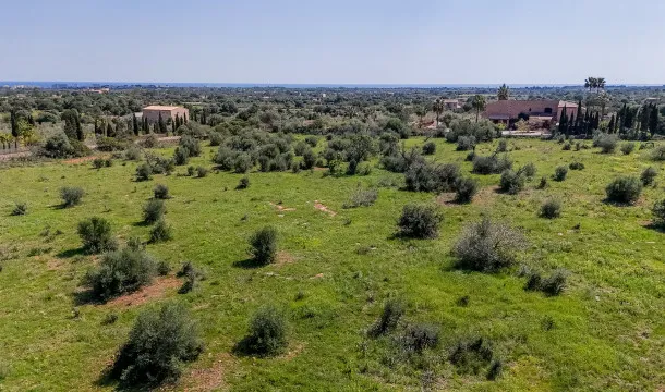 Sea-view plot just 10 minutes from Porto Cristo — photo 8