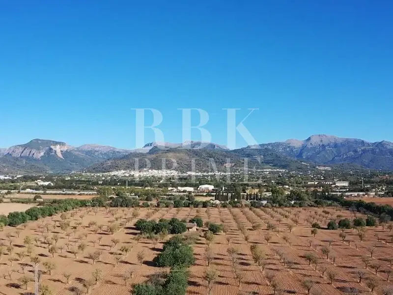 Land in Inca, Mallorca — photo 3