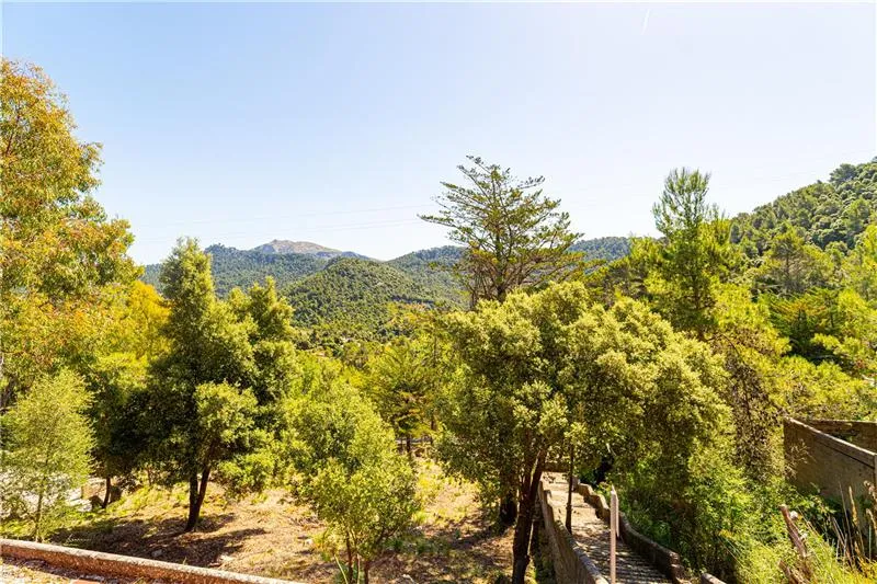 Villa with Garden in the Serra de Tramuntana — photo 3
