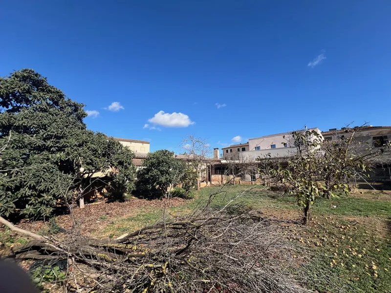 Buildable plot in Campos — photo 3