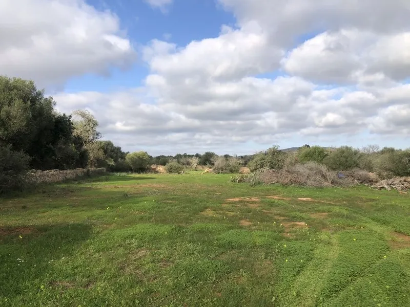 Plot of land with a project of 312m2 located between Santanyi and S'Amarador beach — photo 3