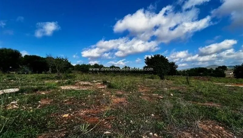 Rustic plot in Son Carrió with water and electricity — photo 2