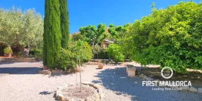 Real estate picture 0 Ref. No. 81330 — photo 4