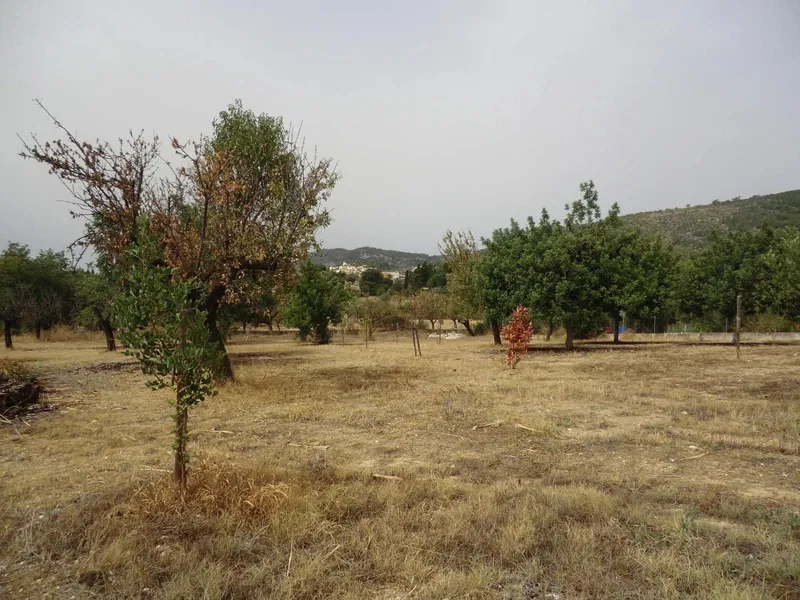 Finca/Country House for rent in Lloseta, Mallorca — photo 3