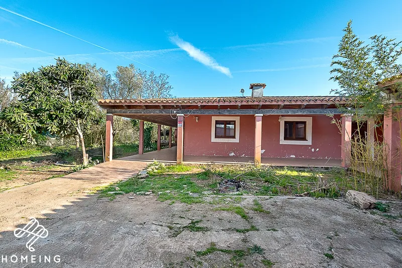 Rustic finca with house in Algaida — photo 2
