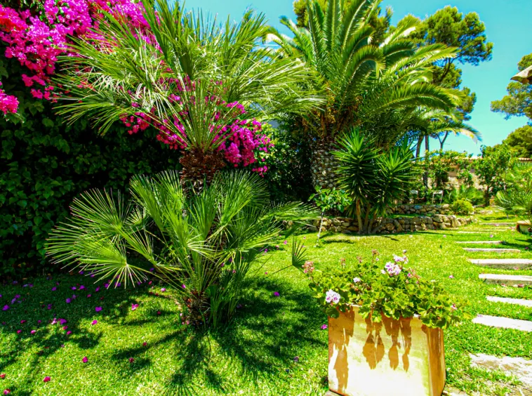 Ref. 2426V – Puerto de Andratx – Exclusive villa with pool and stunning harbour views. — photo 9