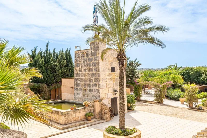 Hotel in ses Salines, Province of Balearic Islands — photo 11