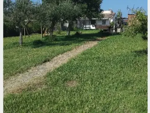 Charming rustic finca for sale – Sa Pobla, Mallorca — photo 11