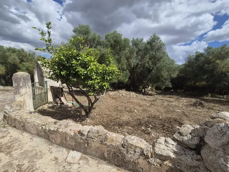 Impressive rustic estate located in the charming town of Sineu — photo 11
