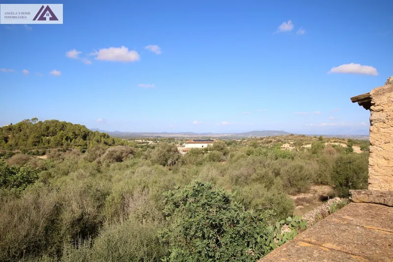 Country house for sale in Manacor — photo 8
