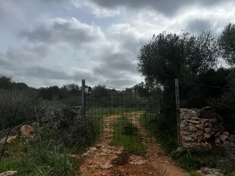If you dream of building a unique home in a privileged natural environment, this spectacular rustic estate in the Son Trompa area is — photo 5