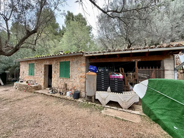 Inmobiliaria Habitat Sóller-Ficha — photo 2