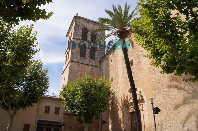 plot in Sa Pobla — photo 11