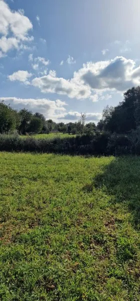 Rural land - Llubí (outskirts of Llubí), plot surface 14,964 m² — photo 10