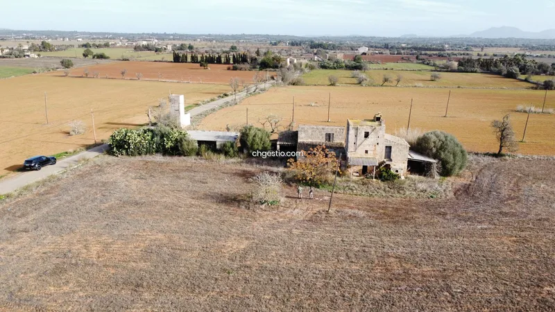 Rustic finca in Campos — photo 10