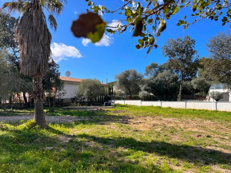 Plot of 1,100 m2 in Crestatx for a single-family home — photo 6