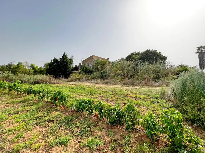 Finca to be rebuilt for sale in Felanitx Pueblo — photo 1